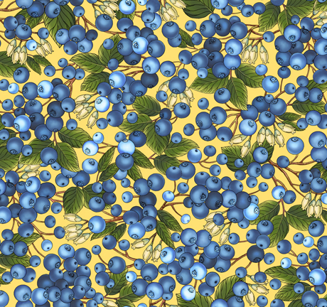 This & That Favorites    